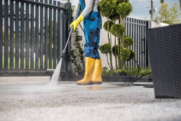 Animal Enclosure Cleaning in Kent, WA